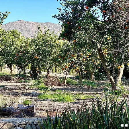 Vh Costa Blanca - Casa Blanca Villa Dénia