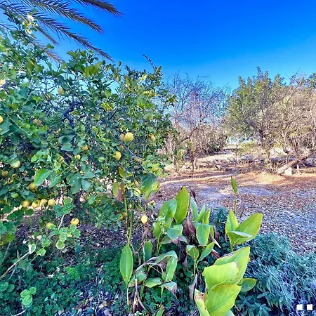 Vh Costa Blanca - Casa Blanca *